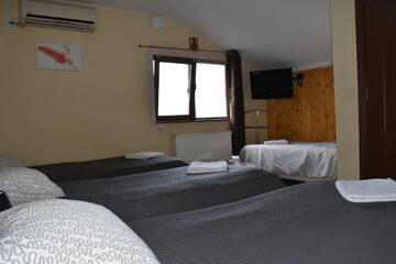 Фото номера Улучшенный трехместный номер Гостевой дом Pensiunea Casa PaPaCip г. Александрия 15