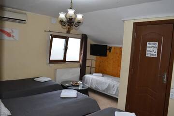 Фото номера Улучшенный трехместный номер Гостевой дом Pensiunea Casa PaPaCip г. Александрия 17