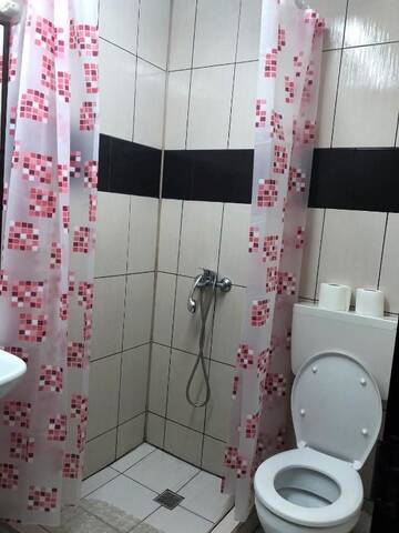 Фото номера Улучшенный трехместный номер Гостевой дом Pensiunea Casa PaPaCip г. Александрия 18